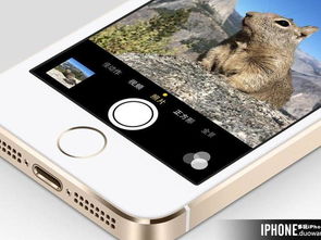 成都旅游類APP開發(fā) 深度解析核心用戶需求與功能導向